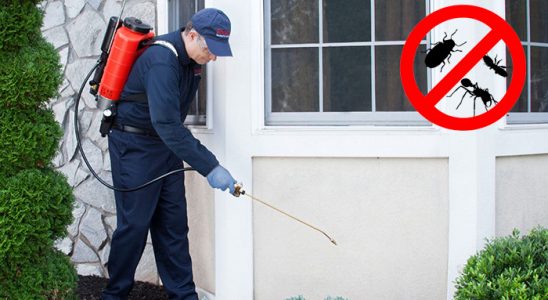 Yeşilli Kemirgen İlaçlama böcek ilaçlama ve haşere kontrolü — ilaclama-tr.com